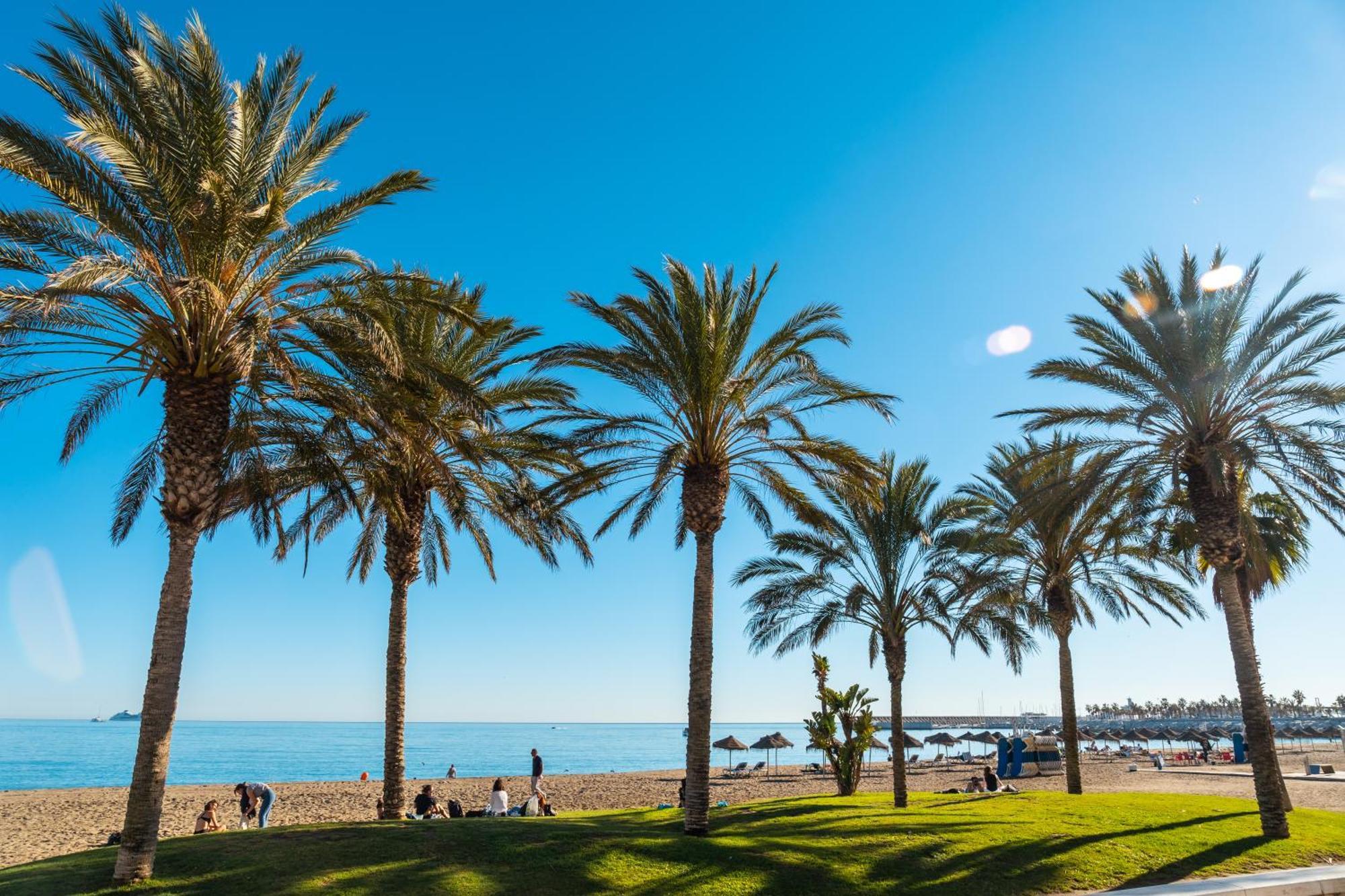 Your Home In Malaga Centro & Parking Free Buitenkant foto